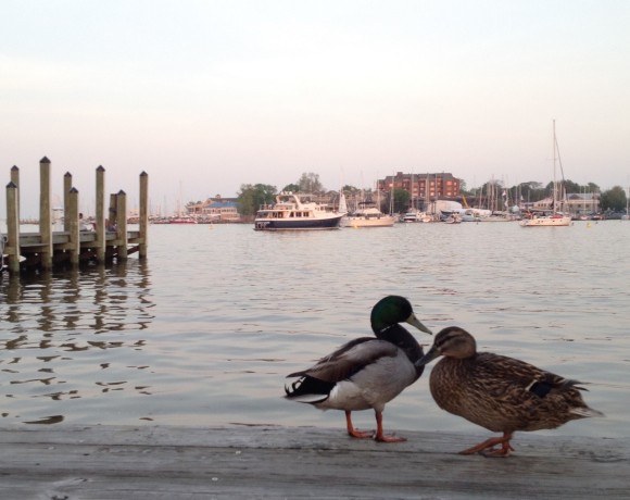 Annapolis, MD